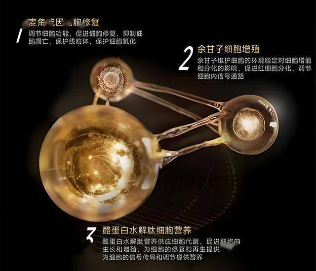 我花了一个月，彻底弄明白了MT4自动交易的利用技巧
